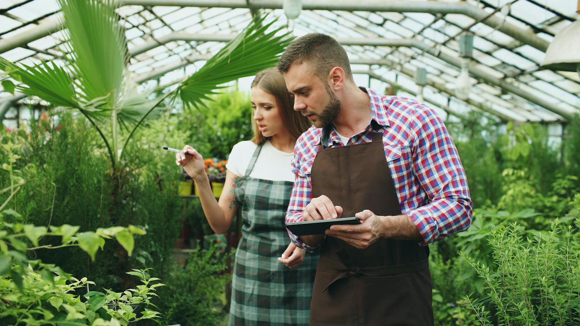 Students checking plant data