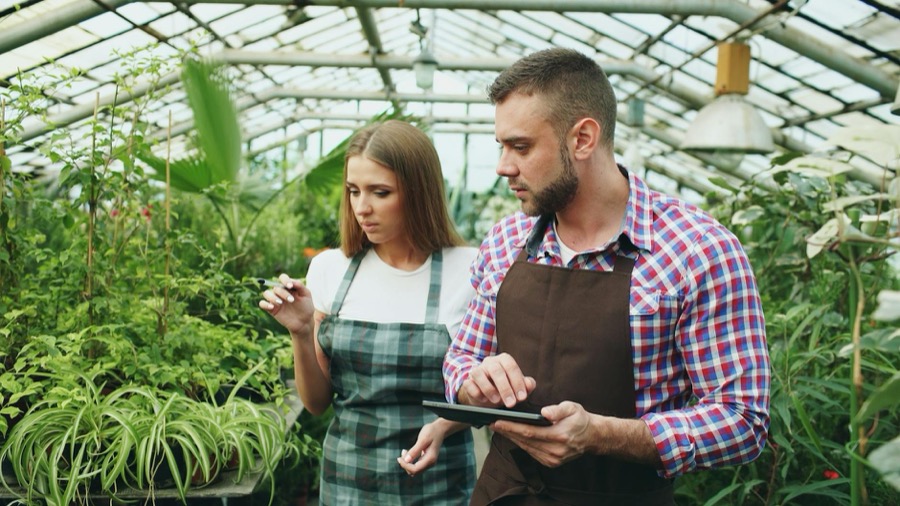 Field visit at a partner farm